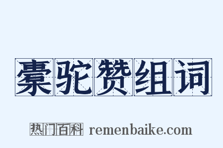 橐驼赞组词是什么意思的图片